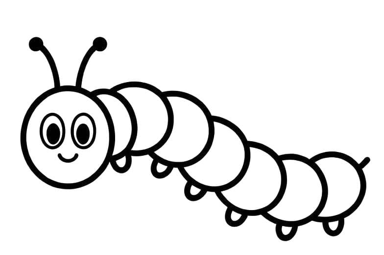 イモムシ 単純 ぬりえ