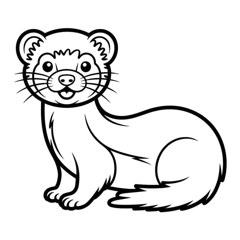 印刷 フェレット 描く ぬりえ