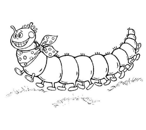 印刷 イモムシ ぬりえ