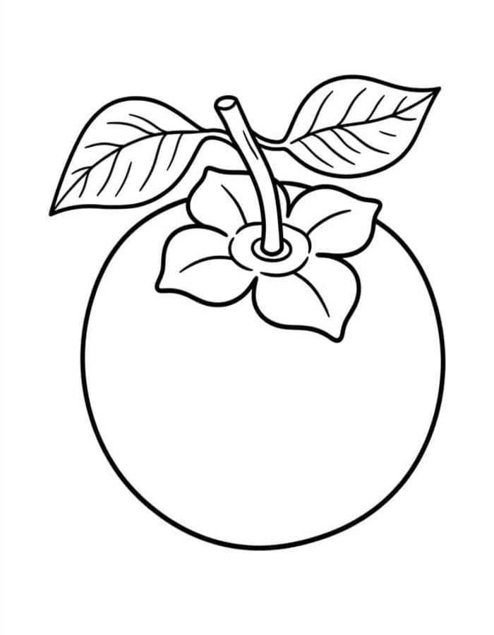 印刷 柿の実 描く ぬりえ