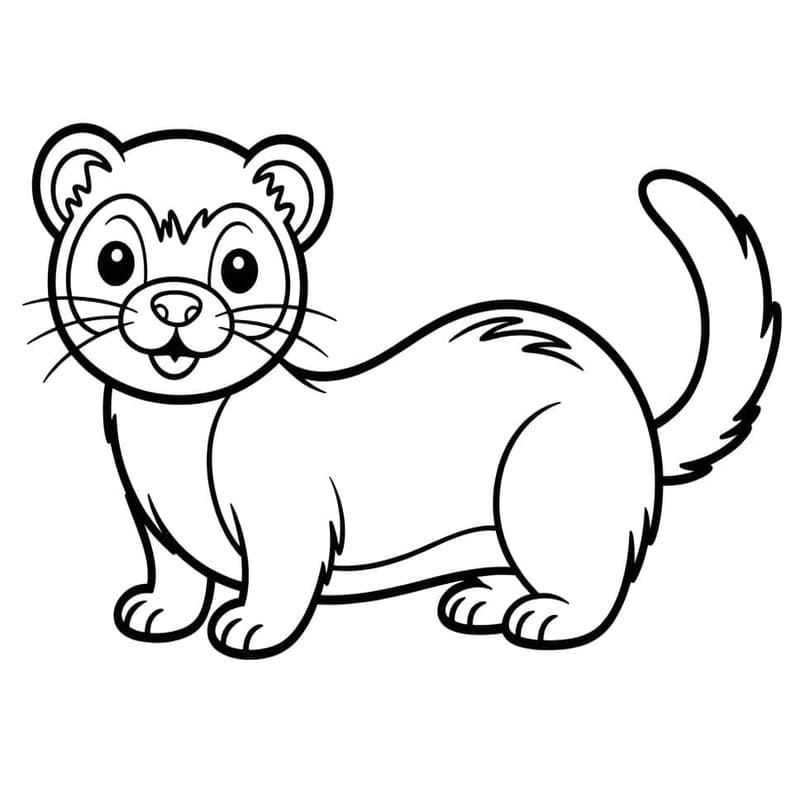 印刷可能 フェレット 描く ぬりえ
