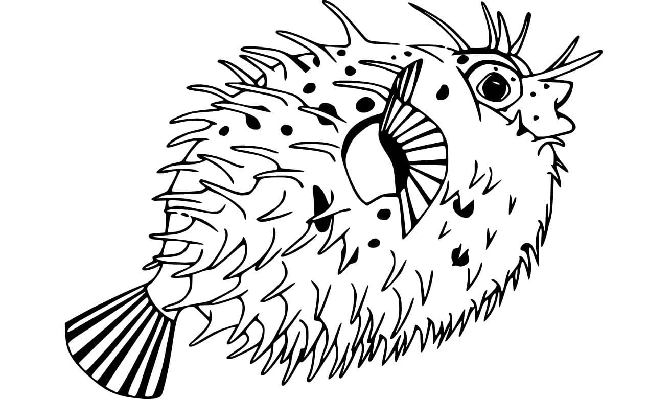 印刷可能 フグ 描く ぬりえ
