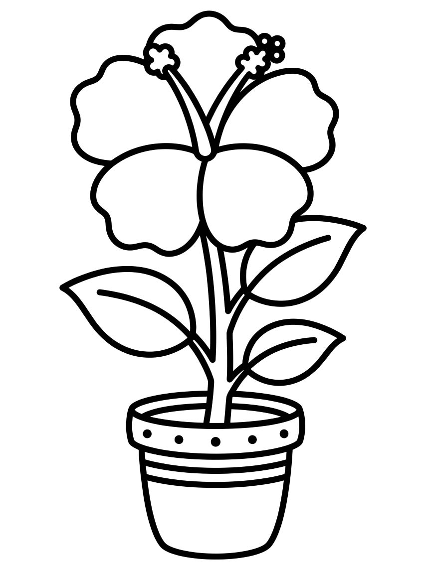 印刷可能 ハイビスカス 描く ぬりえ
