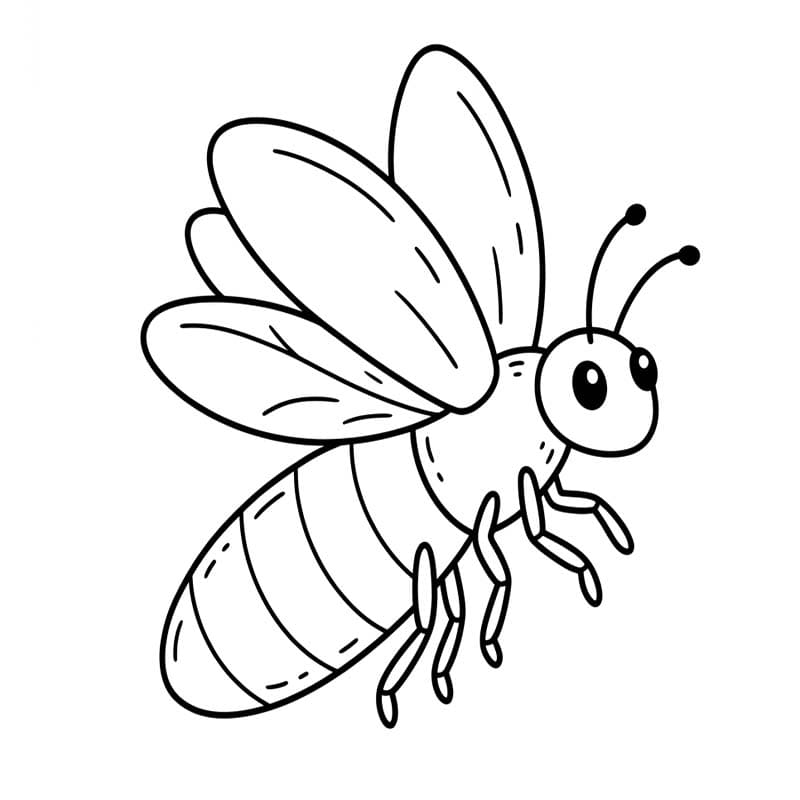 印刷可能 ホタル 描く ぬりえ