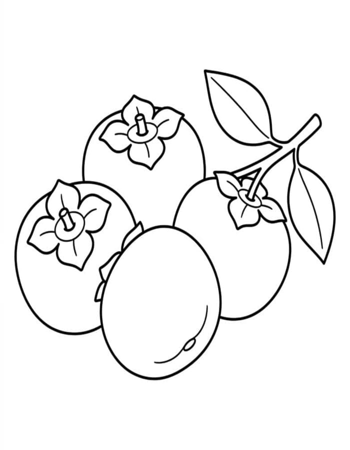 印刷可能 柿の実 描く ぬりえ