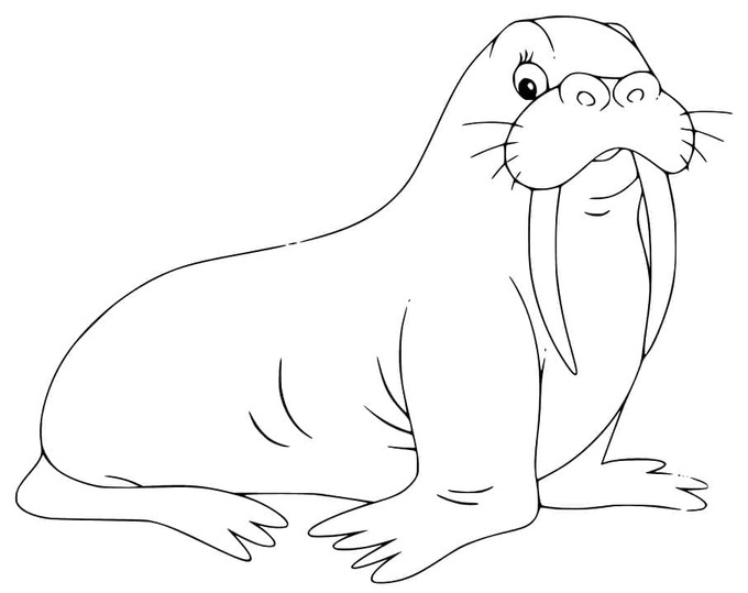 印刷可能 セイウチ 描く ぬりえ