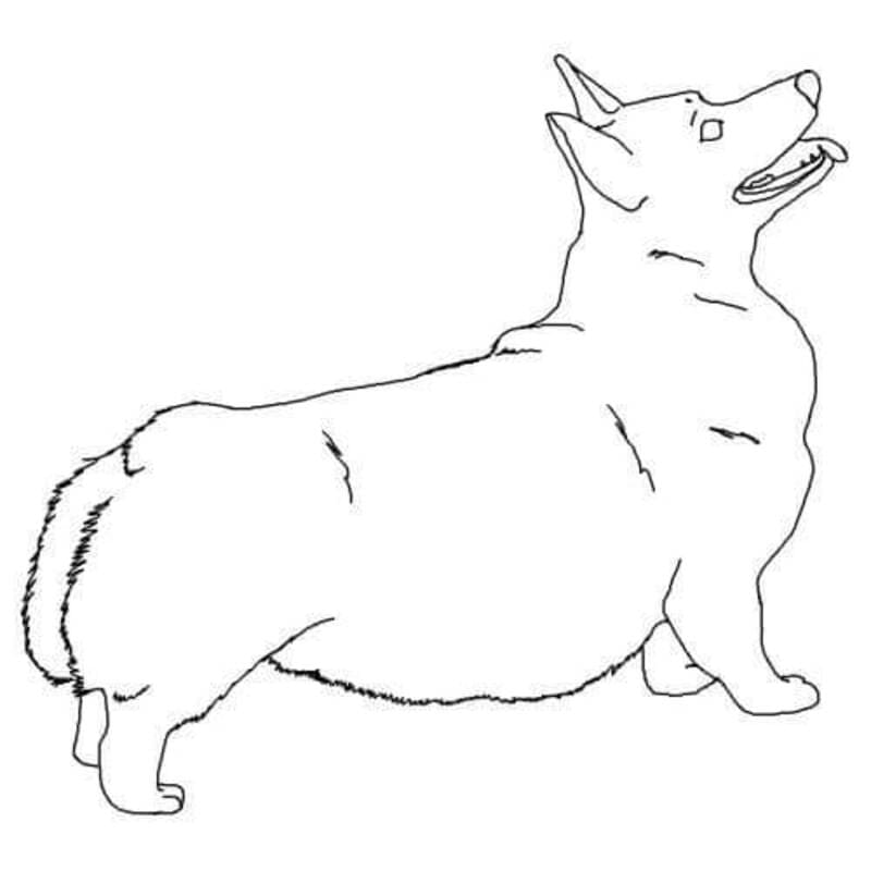 印刷 コーギー 描く ぬりえ