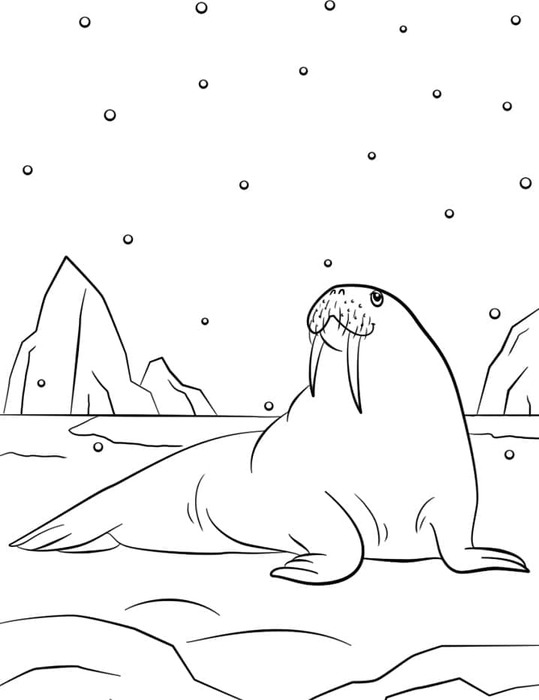 印刷 セイウチ ぬりえ