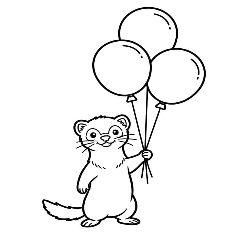 描く フェレット ぬりえ