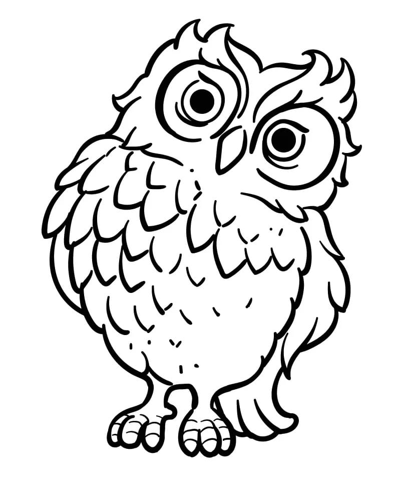 描く フクロウ ぬりえ