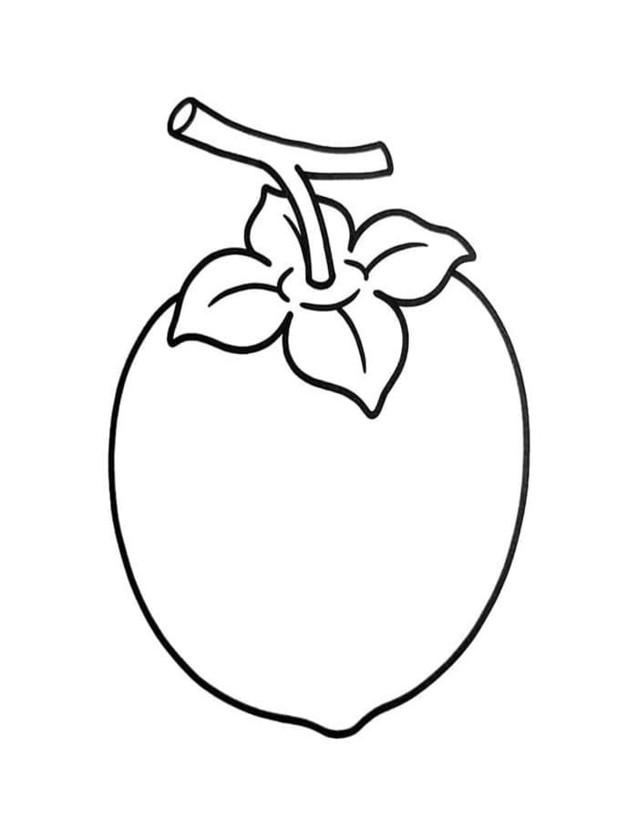 描く 柿の実 ぬりえ