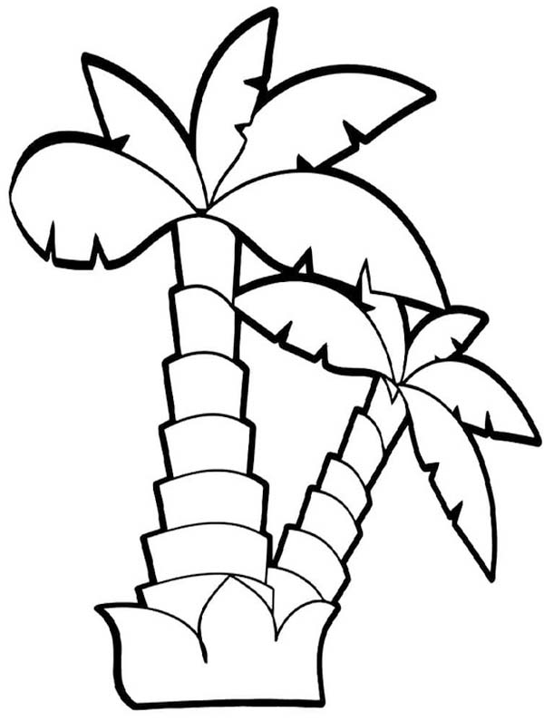 描く ヤシの木 ぬりえ