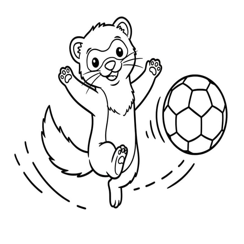 簡単 フェレット 描く ぬりえ