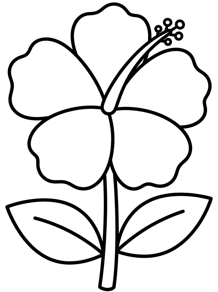 簡単 ハイビスカス 描く ぬりえ