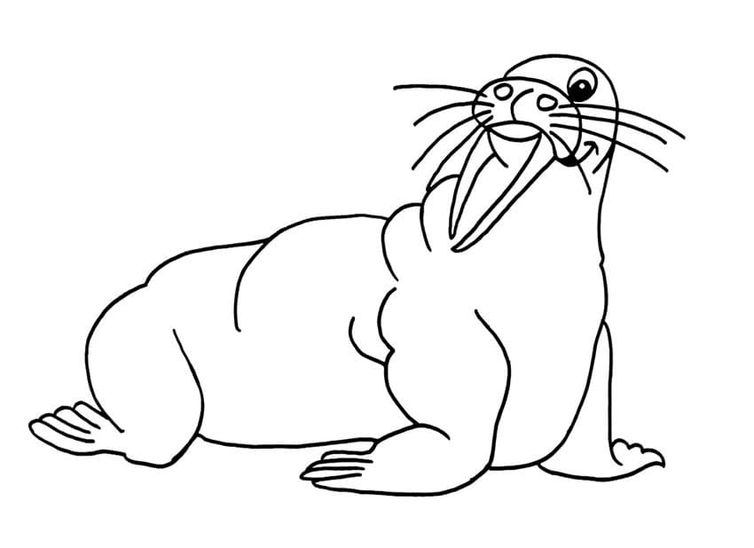 簡単 セイウチ 描く ぬりえ