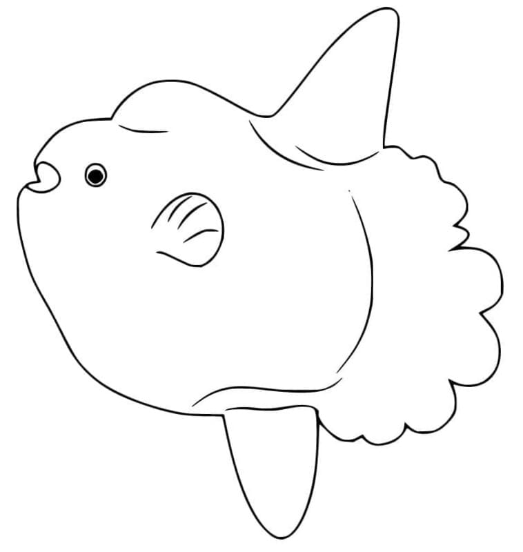 簡単なマンボウ ぬりえ