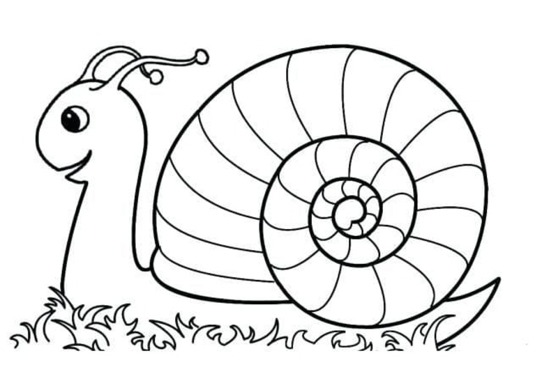 カタツムリ 1 描く ぬりえ