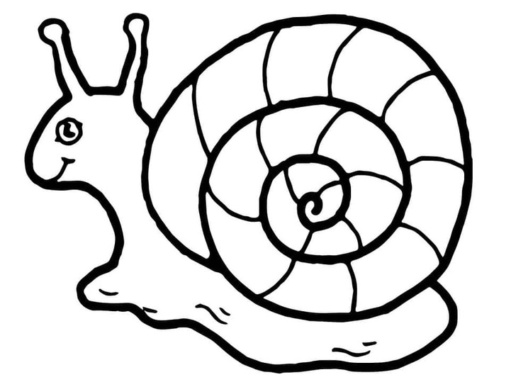 カタツムリ 5 描く ぬりえ