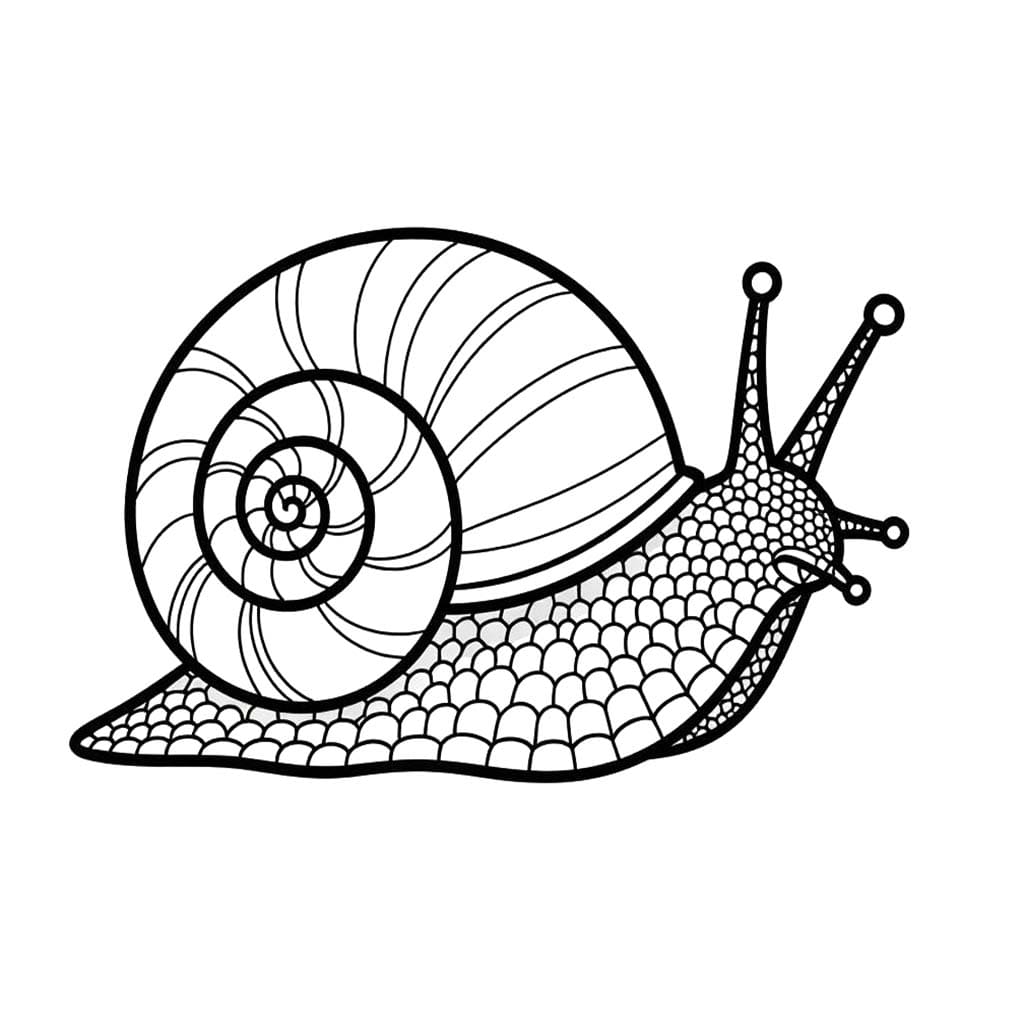 カタツムリ簡単 ぬりえ