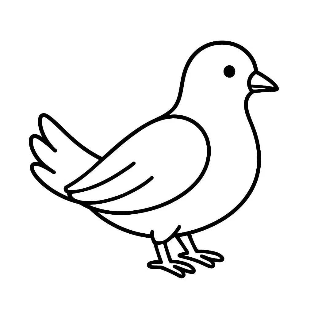 かわいい鳩 ぬりえ