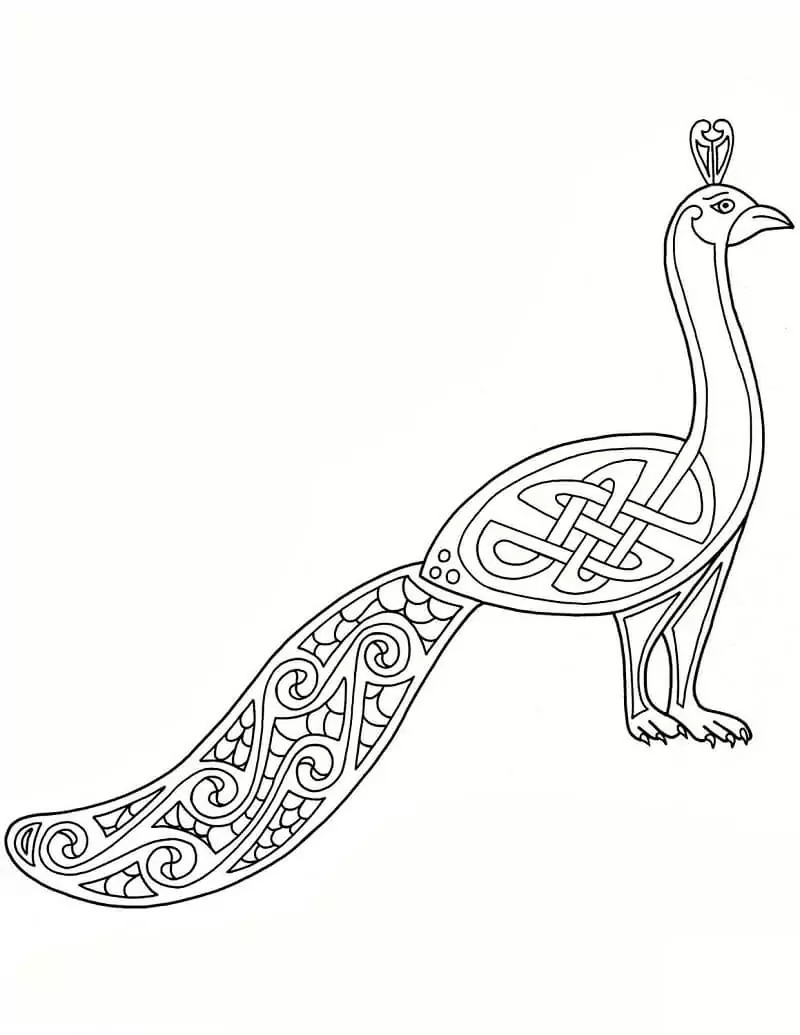 ケルト美術 孔雀 ぬりえ
