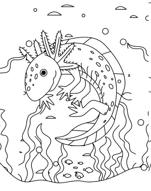 基本的な アホロートル 描く ぬりえ