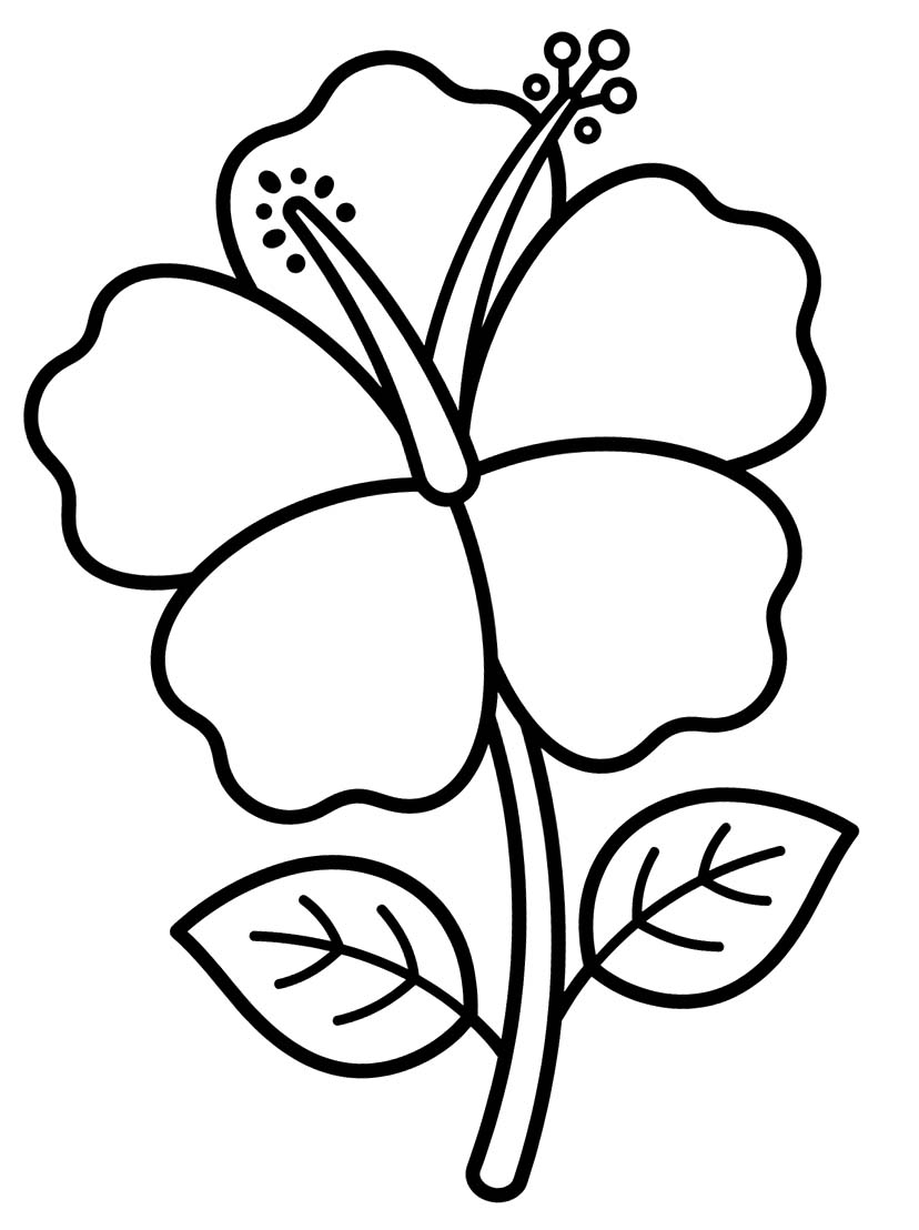 基本的な ハイビスカス 描く ぬりえ