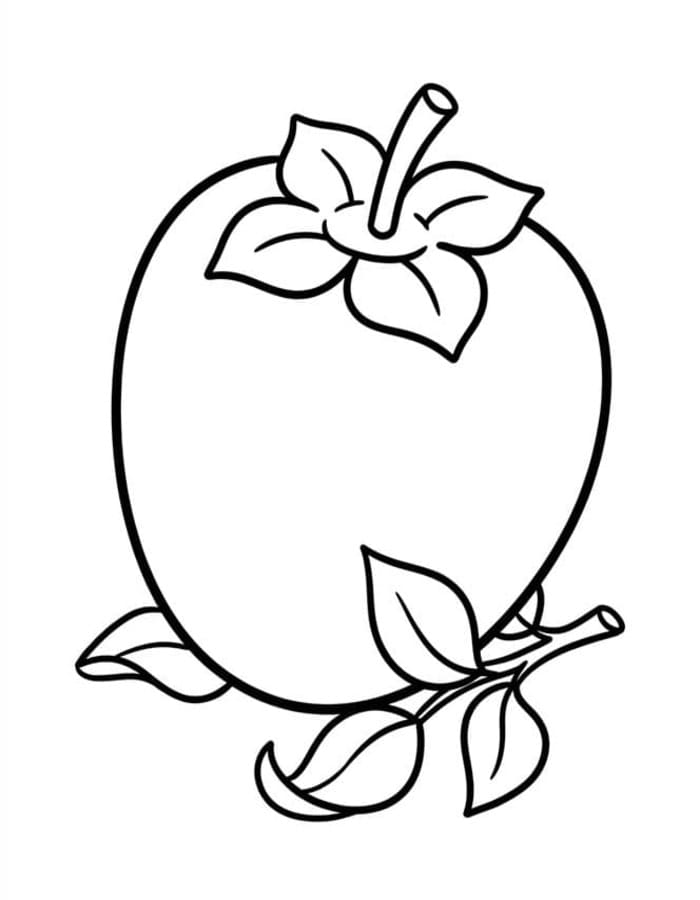 基本的な 柿の実 描く ぬりえ