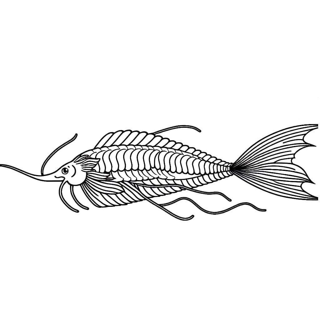 子供向けのリュウグウノツカイの描き方 ぬりえ