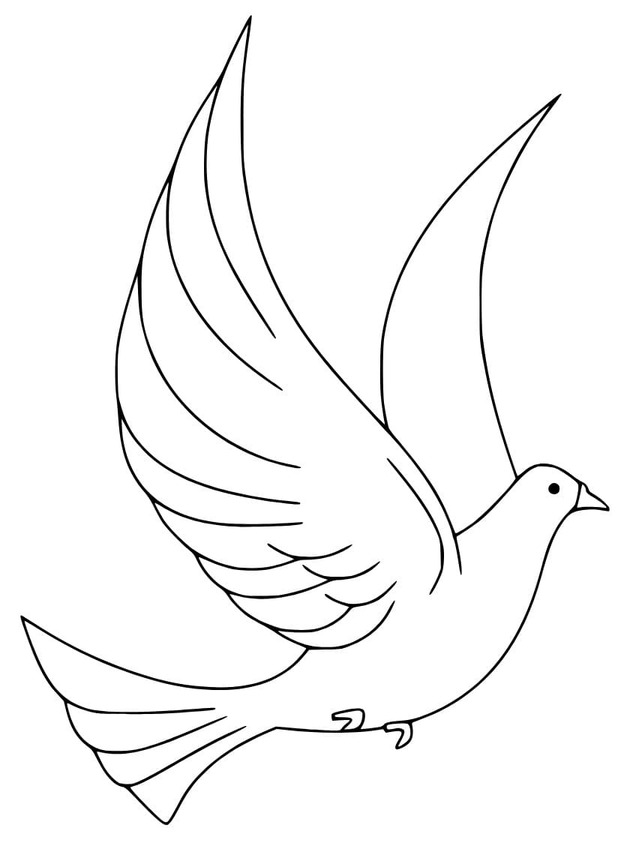 公園の鳩 ぬりえ