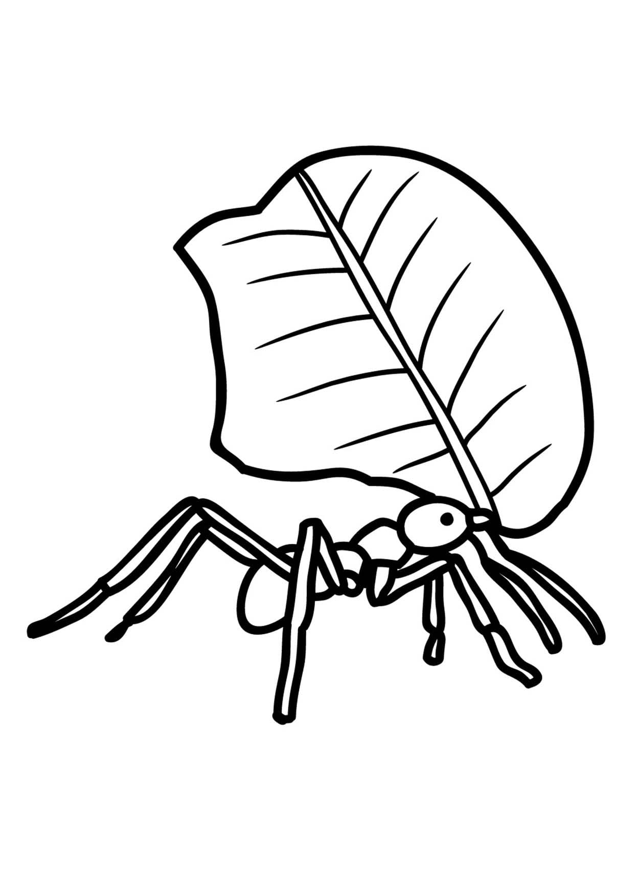 昆虫 5 ぬりえ