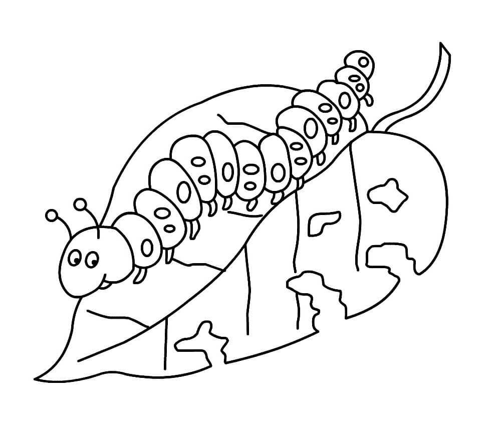 昆虫 無料 ぬりえ