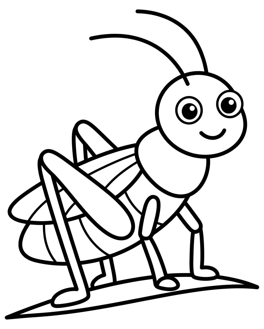 コオロギ ぬりえ ぬりえ