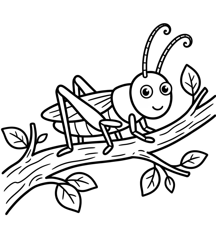コオロギ 描く ぬりえ