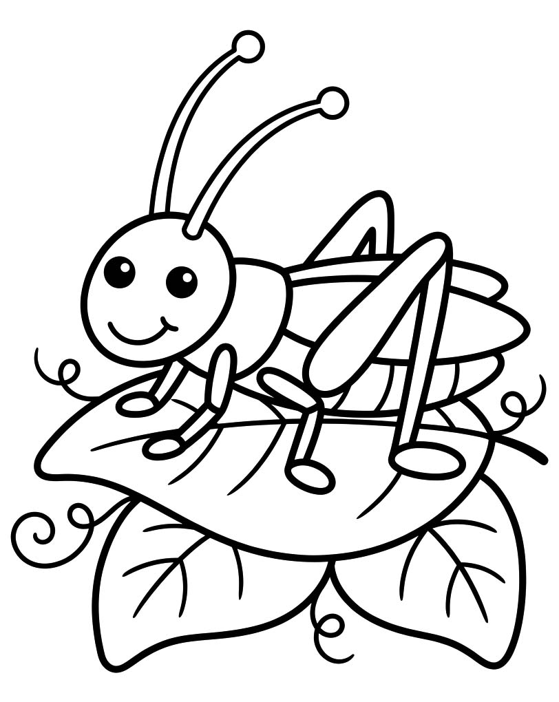 コオロギ 簡単 ぬりえ
