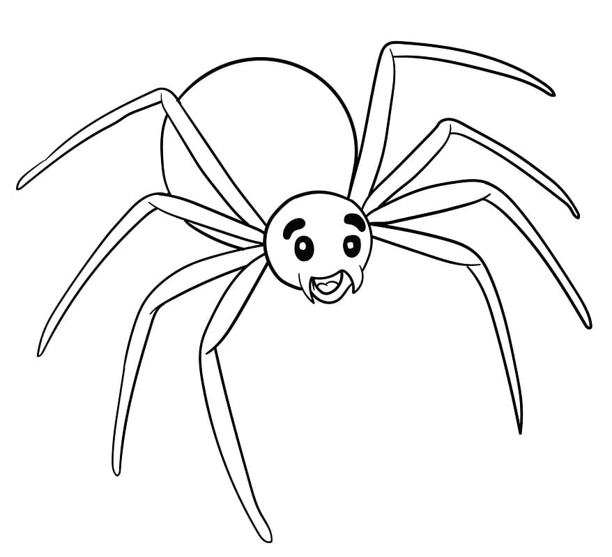 蜘蛛 3 描く ぬりえ