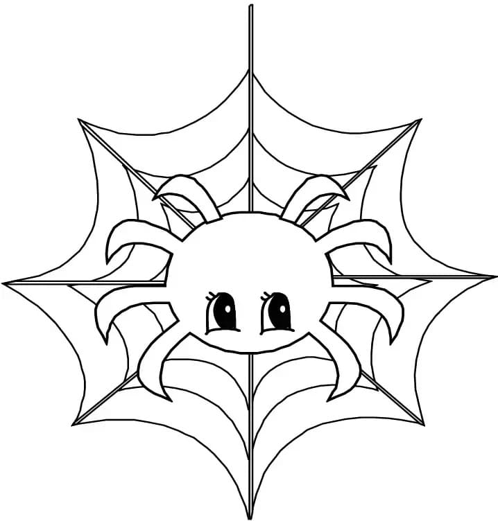 蜘蛛 子供向けの絵 ぬりえ
