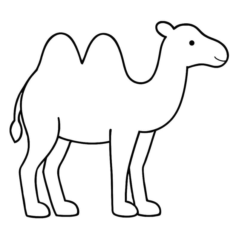 キャメル 描画 ぬりえ