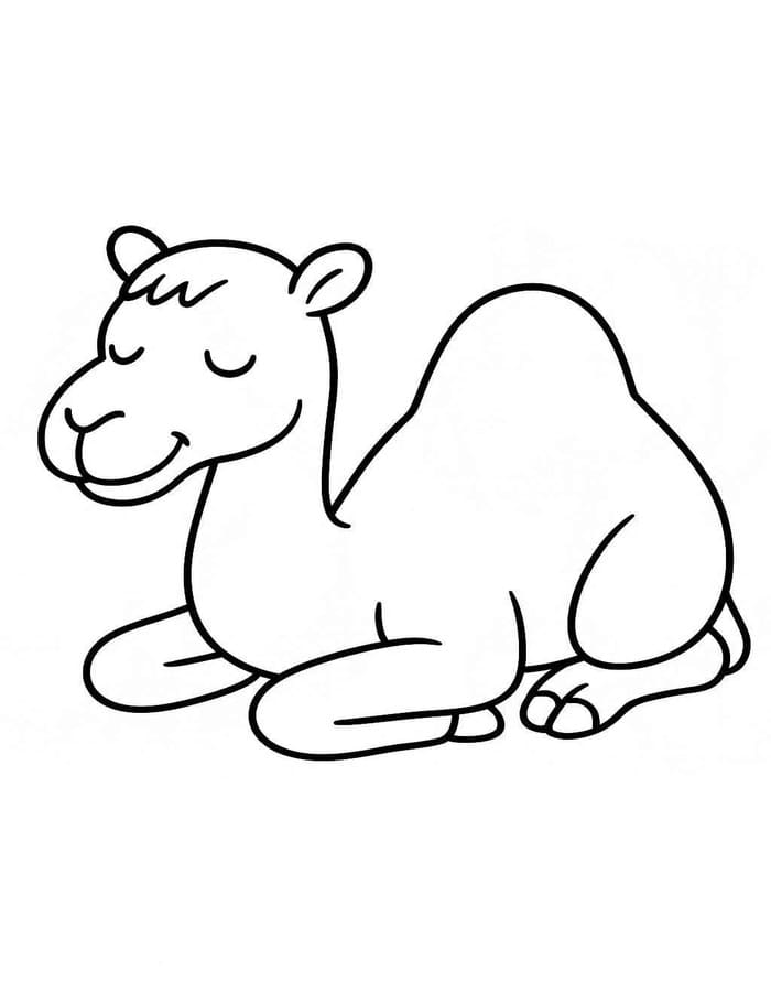 キャメル 画像 ぬりえ