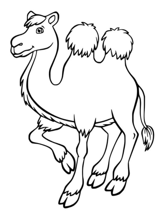 キャメル 描く ぬりえ