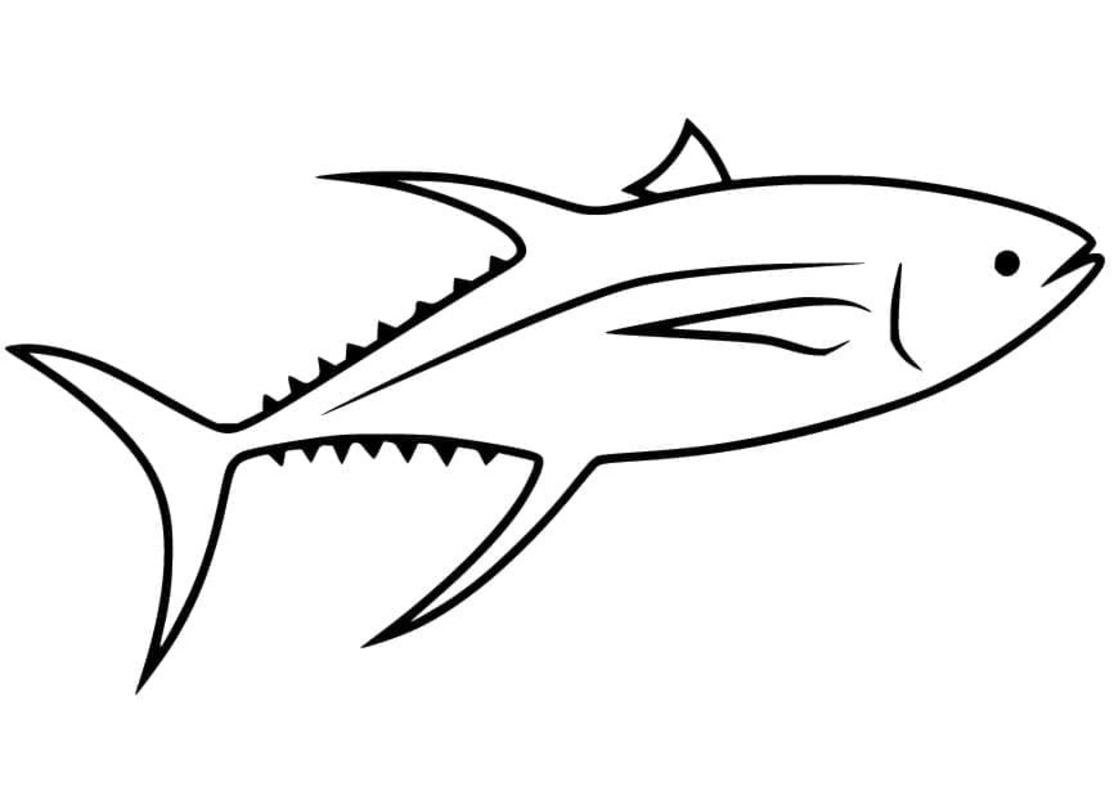 マグロ 基本的な ぬりえ