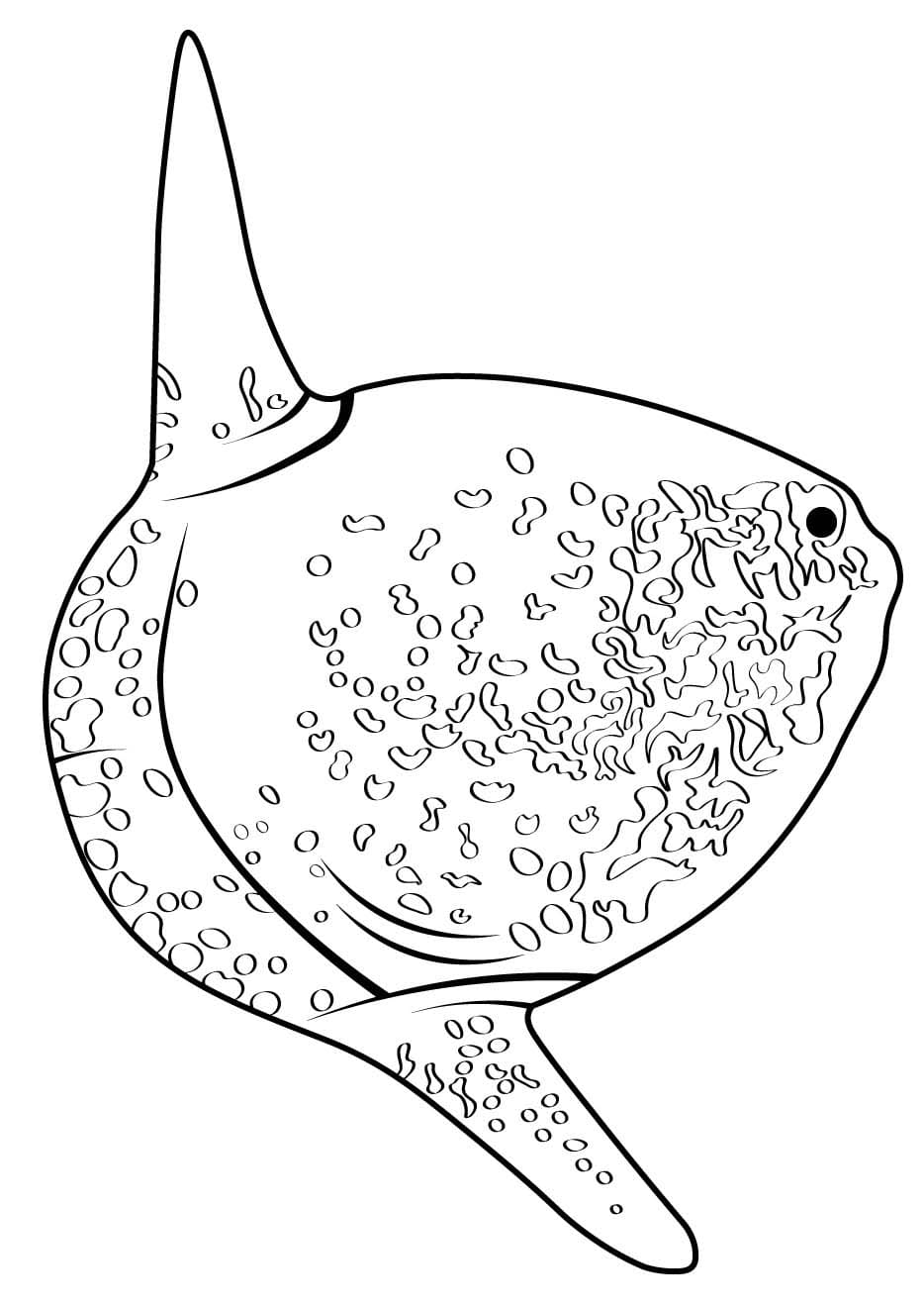 マンボウ 1 ぬりえ