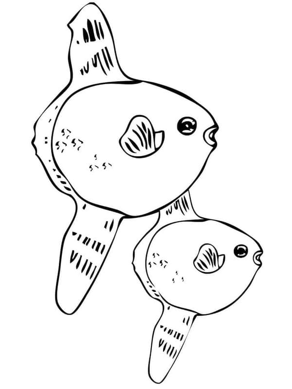 マンボウ2匹 ぬりえ