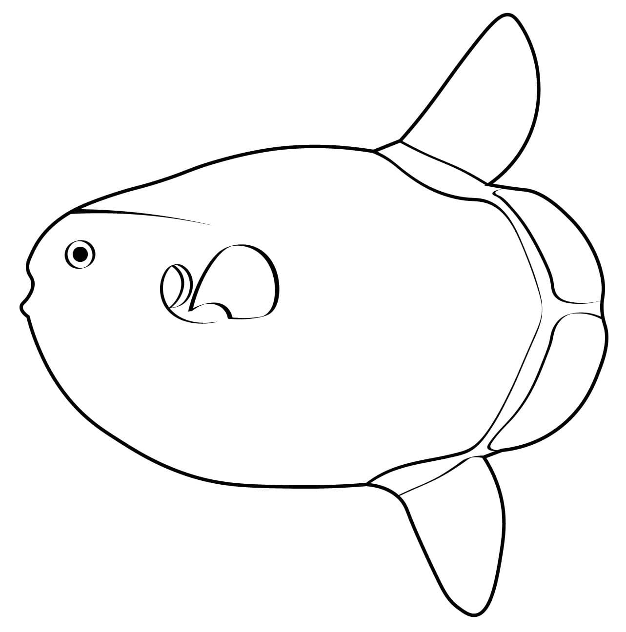 マンボウ 2 ぬりえ