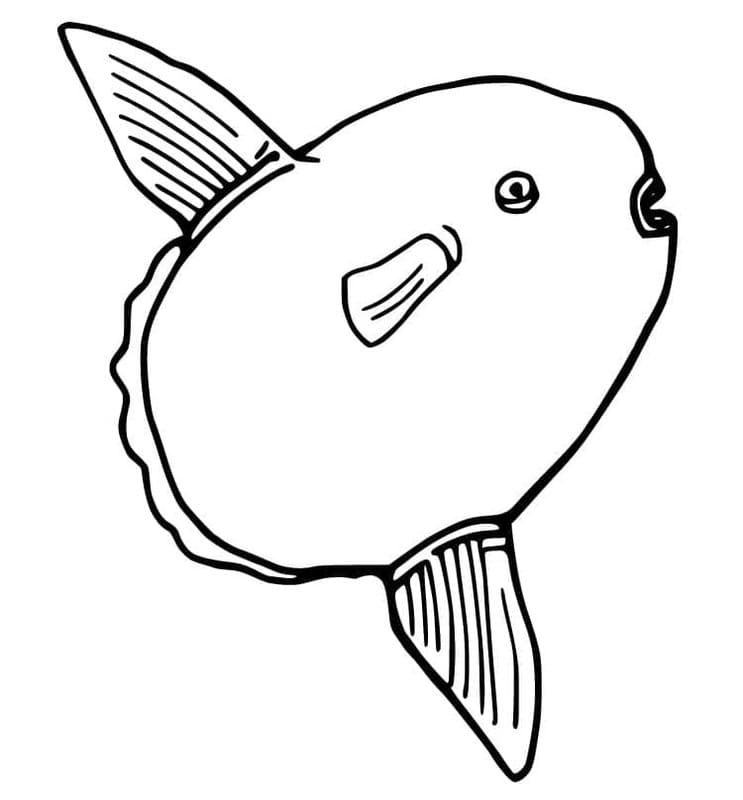 マンボウの泳ぎ ぬりえ