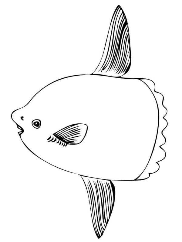 マンボウのプリント ぬりえ