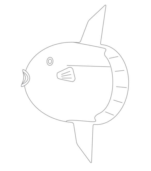 マンボウシンプル ぬりえ