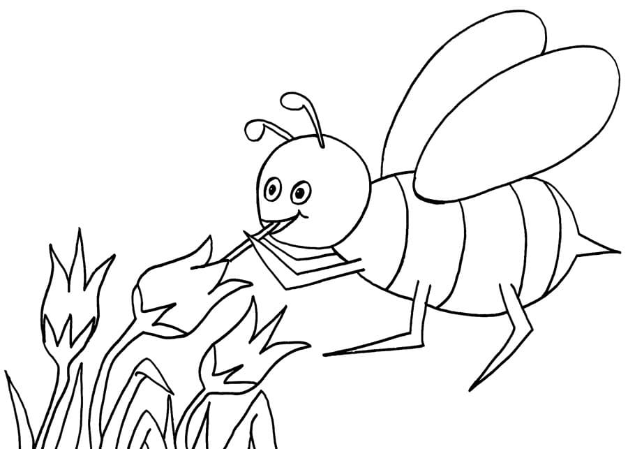 ミツバチ 描く ぬりえ