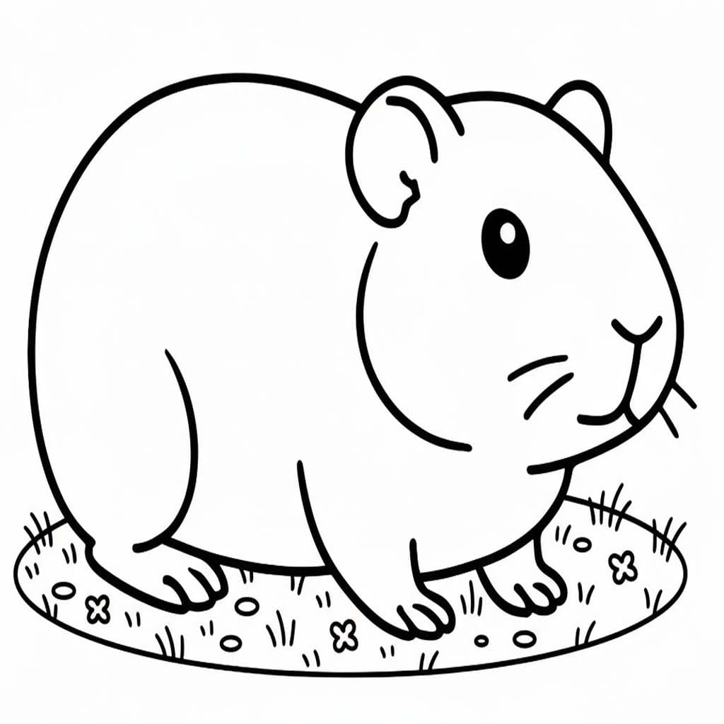 モルモット 描く ぬりえ