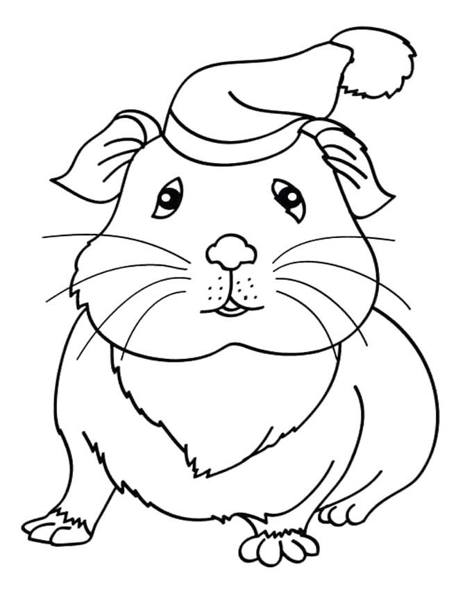 モルモット 簡単 ぬりえ